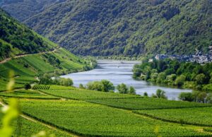 – Zimní dovolená na vrchu: Nejlepší lyžařská střediska v Alpách