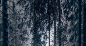 Proč je důležité vyjadřovat lásku každý den