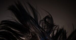 Láska a její různé podoby: Co všechno může láska znamenat?